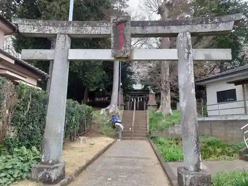 椙山神社(東京都)