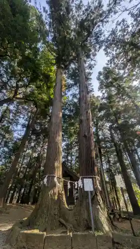 間々田八幡宮の{uncategorized: "未分類", other: "その他", undefined: "問題あり", building: "その他建物", grave: "お墓", sacred_gate: "鳥居", guardian: "狛犬", statue: "像", buddha: "仏像", history: "歴史", nature: "自然", garden: "庭園", animal: "動物", pagoda: "塔", temizu: "手水舎", mountain_gate: "山門・神門", sanctuary: "本殿・本堂", subordinate: "末社・摂社", art: "芸術", scenery: "景色", jizo: "地蔵", ema: "絵馬", goshuin: "御朱印", omikuji: "おみくじ", items: "授与品その他", amulet: "お守り", goshuincho: "御朱印帳", eats: "食事", festival: "お祭り", votive_dance: "神楽", shichigosan: "七五三参", wedding: "結婚式", experience: "体験その他", initially: "初詣", around: "周辺", anti_infection: "感染症対策"}