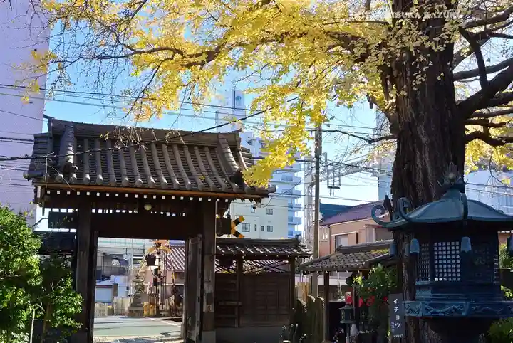 遍照院(神奈川県)