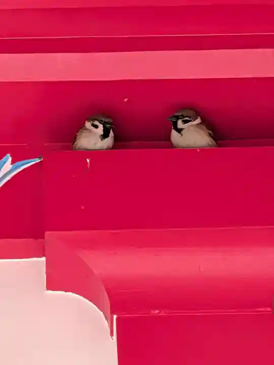 成子天神社(東京都)