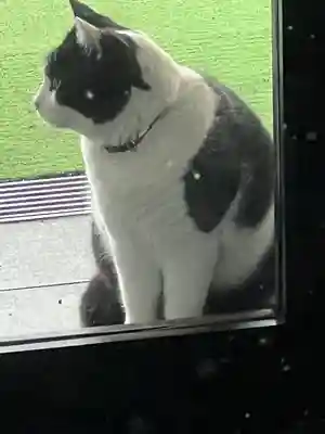 榛名神社(群馬県)