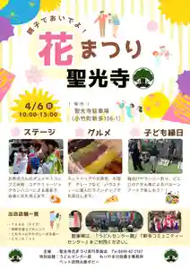 聖光寺(福岡県) 2025年04月05日(土)〜(2025年03月08日(土) 11時24分28秒投稿)