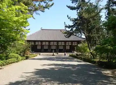 唐招提寺の本殿・本堂