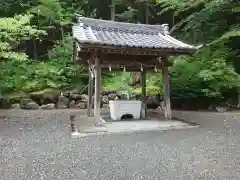 伊弉冊神社の手水