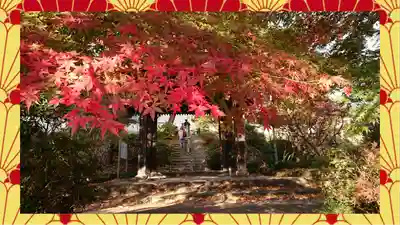 崇禅寺(群馬県)