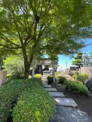 白山神社(埼玉県)