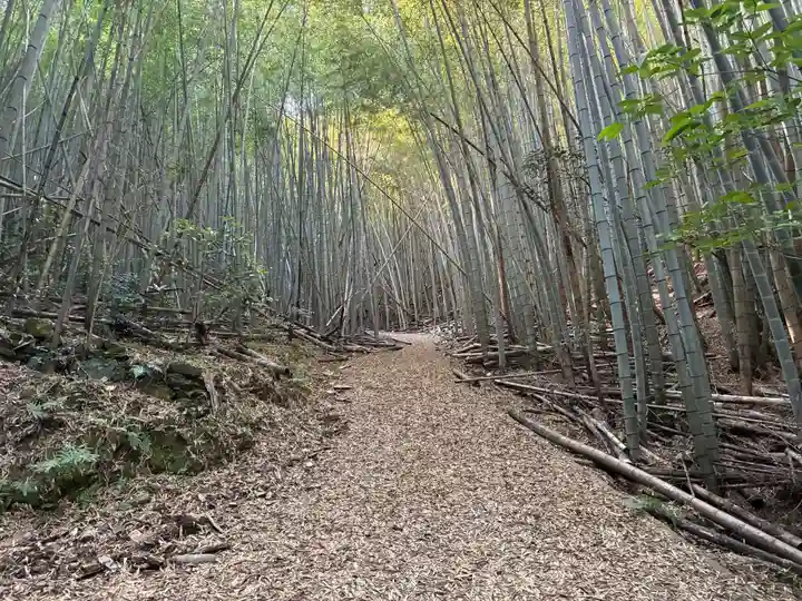 天一神社(徳島県)