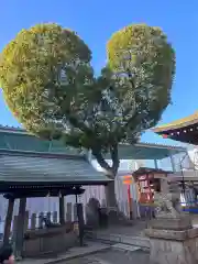 南宮宇佐八幡神社（脇浜神社）(兵庫県)