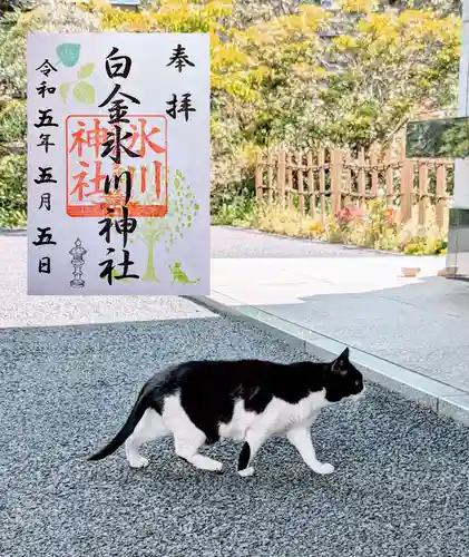 白金氷川神社の御朱印