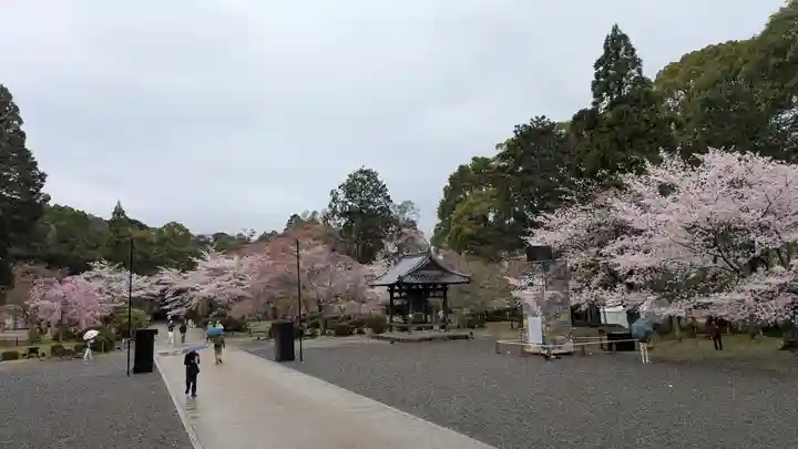 醍醐寺(京都府)