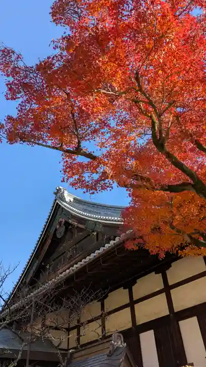清浄華院(京都府)