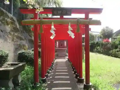 熊野神社(福井県)