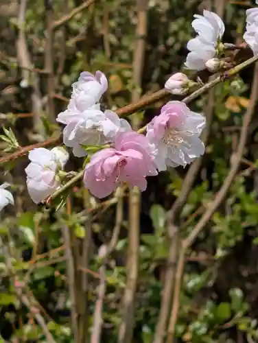 天徳寺(神奈川県)