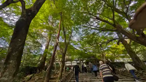 龍安寺(京都府)