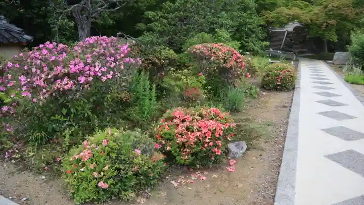 大門寺(大阪府)