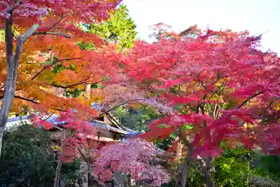 円覚寺(神奈川県)