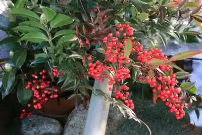 高司神社〜むすびの神の鎮まる社〜の手水舎