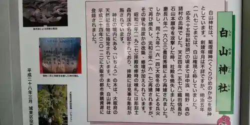 白山神社(大阪府)