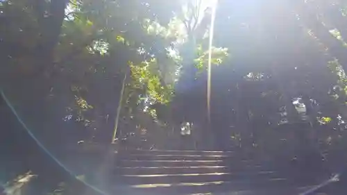 渋谷氷川神社の景色