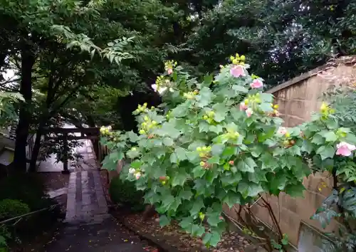 田端八幡神社(東京都)