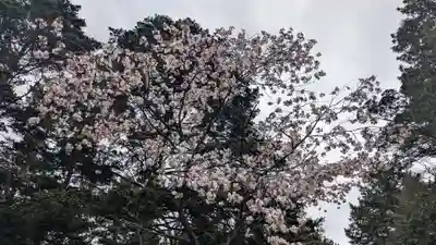 上川神社の自然