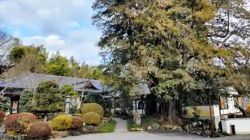 崇禅寺(群馬県)