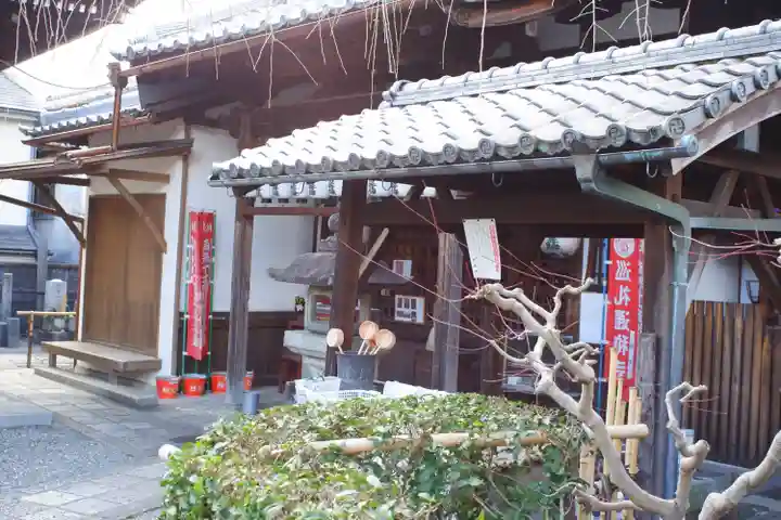 地蔵院(椿寺)(京都府)