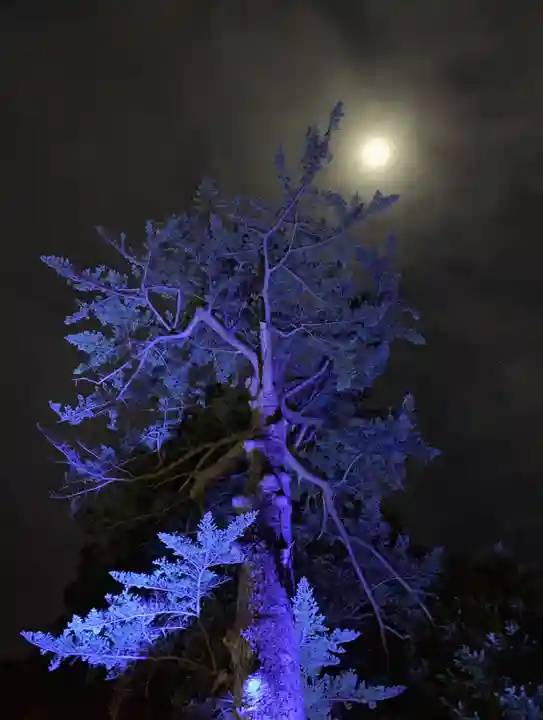 滑川神社 - 仕事と子どもの守り神(福島県)