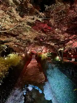 北野天満宮(京都府)