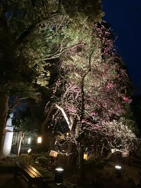 長谷寺の{uncategorized: "未分類", other: "その他", undefined: "問題あり", building: "その他建物", grave: "お墓", sacred_gate: "鳥居", guardian: "狛犬", statue: "像", buddha: "仏像", history: "歴史", nature: "自然", garden: "庭園", animal: "動物", pagoda: "塔", temizu: "手水舎", mountain_gate: "山門・神門", sanctuary: "本殿・本堂", subordinate: "末社・摂社", art: "芸術", scenery: "景色", jizo: "地蔵", ema: "絵馬", goshuin: "御朱印", omikuji: "おみくじ", items: "授与品その他", amulet: "お守り", goshuincho: "御朱印帳", eats: "食事", festival: "お祭り", votive_dance: "神楽", shichigosan: "七五三参", wedding: "結婚式", experience: "体験その他", initially: "初詣", around: "周辺", anti_infection: "感染症対策"}