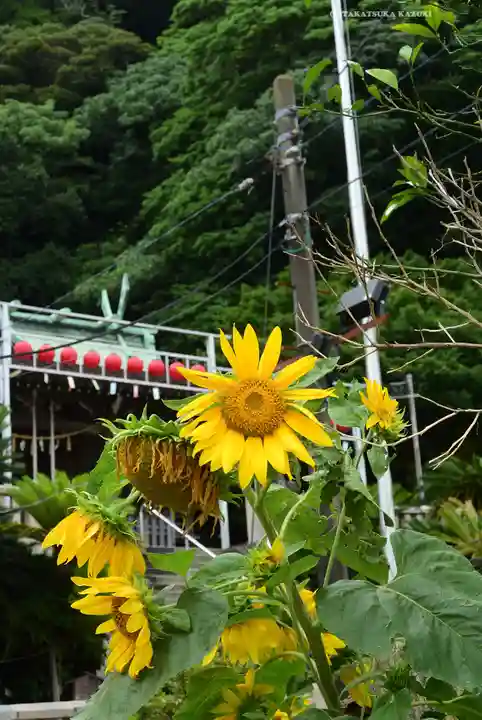 叶神社(東叶神社)(神奈川県)
