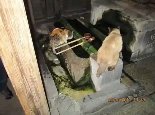 法善寺(大阪府)