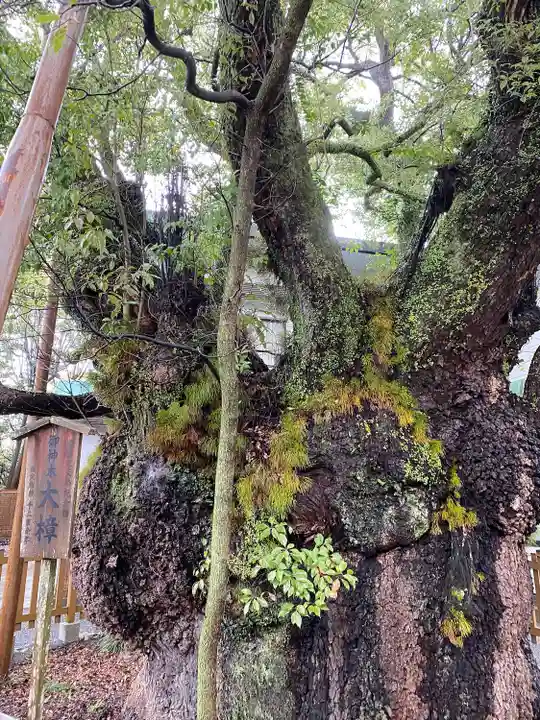 富知六所浅間神社(静岡県)