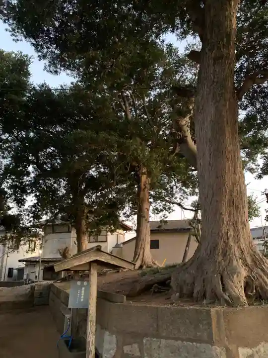 新宮大神(千葉県)