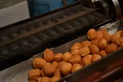 遠照山 光明寺（尼崎大仏）(兵庫県)