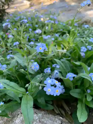 八幡神社(埼玉県)