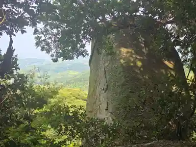 岩上神社(兵庫県)