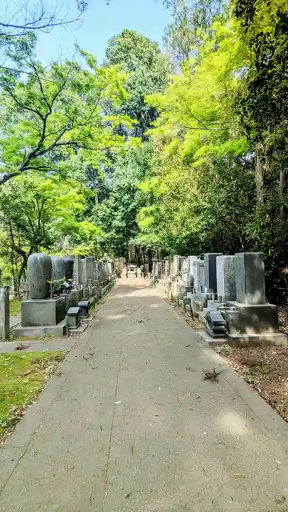 本土寺(千葉県)