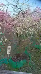 大縣神社の庭園