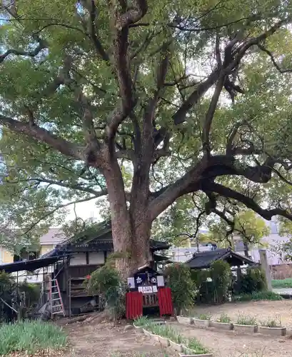 川邊八幡神社(大阪府)