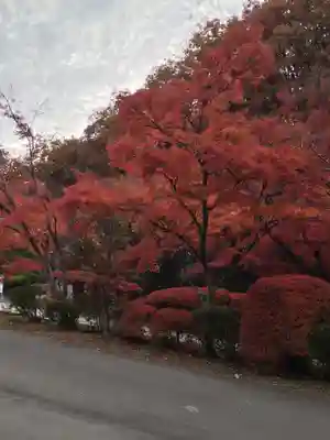 陽林寺(福島県)