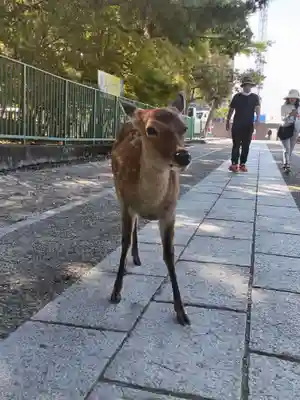 海龍王寺(奈良県)