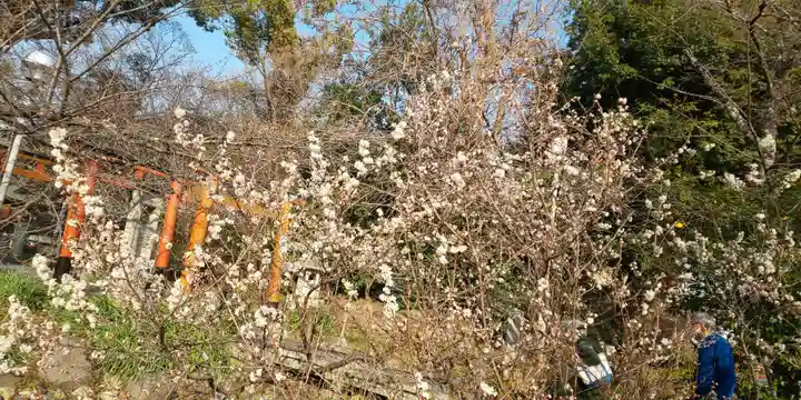 平野神社の御朱印