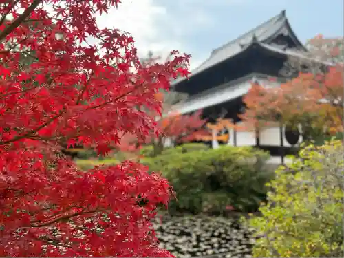 井山 宝福寺(岡山県)