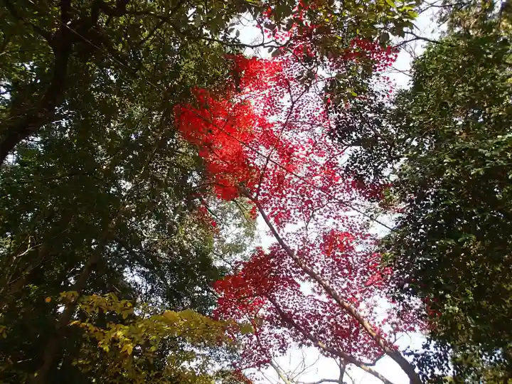 石座神社の自然