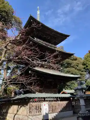 椎尾山薬王院(茨城県)
