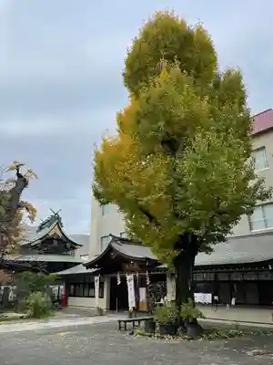 素盞雄神社(東京都)