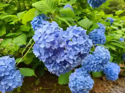 千光寺(福岡県)