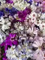 射水神社の{uncategorized: "未分類", other: "その他", undefined: "問題あり", building: "その他建物", grave: "お墓", sacred_gate: "鳥居", guardian: "狛犬", statue: "像", buddha: "仏像", history: "歴史", nature: "自然", garden: "庭園", animal: "動物", pagoda: "塔", temizu: "手水舎", mountain_gate: "山門・神門", sanctuary: "本殿・本堂", subordinate: "末社・摂社", art: "芸術", scenery: "景色", jizo: "地蔵", ema: "絵馬", goshuin: "御朱印", omikuji: "おみくじ", items: "授与品その他", amulet: "お守り", goshuincho: "御朱印帳", eats: "食事", festival: "お祭り", votive_dance: "神楽", shichigosan: "七五三参", wedding: "結婚式", experience: "体験その他", initially: "初詣", around: "周辺", anti_infection: "感染症対策"}