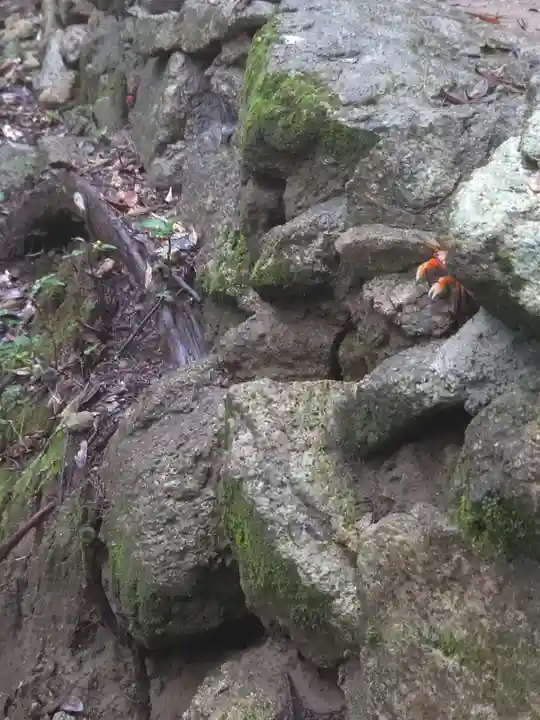 神倉神社(熊野速玉大社摂社)の御朱印